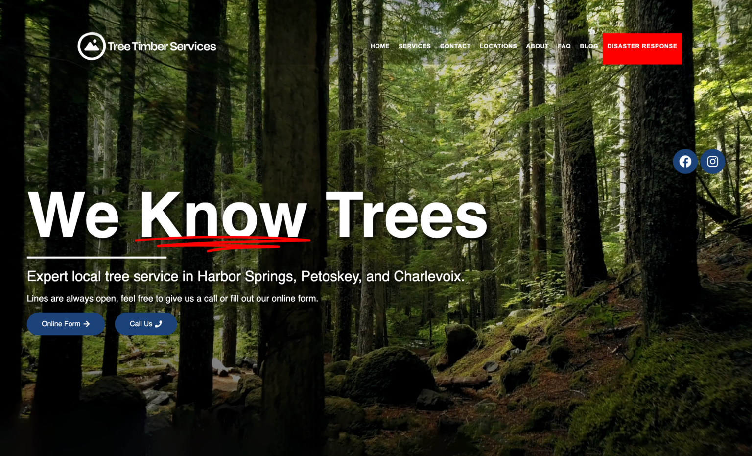 Tree Timber Services screenshot2