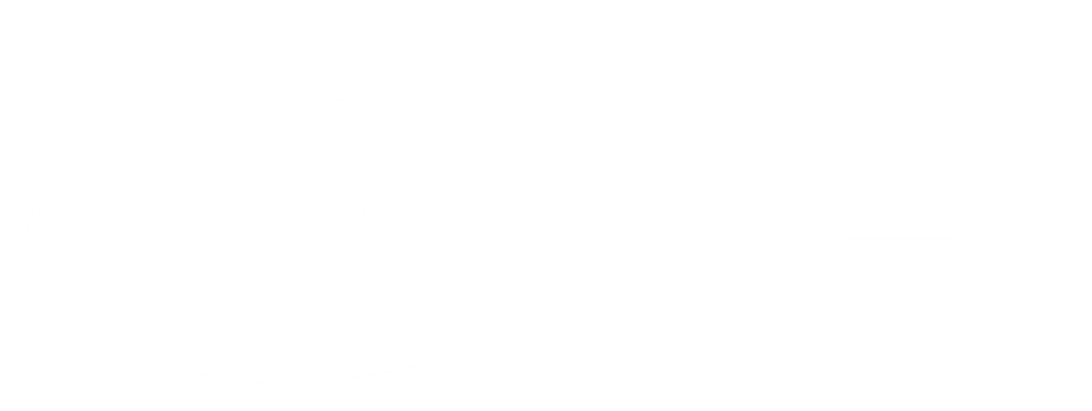 Footer logo fate web agency